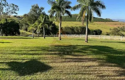 Fazenda à venda na Área Rural de São João da Boa Vista, São João da Boa Vista 