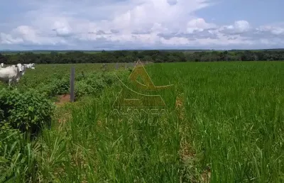 Fazenda à venda no Setor Central, Guaraí 