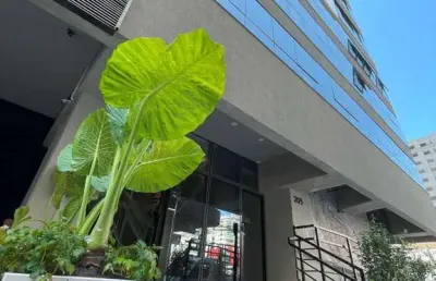 Apartamento com 4 quartos à venda na rua 295, 205, meia praia, itapema por r$ 4.850.000