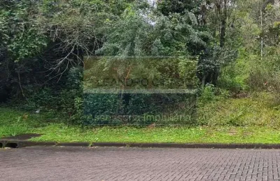Terreno / lote / condomínio à venda no bairro condomínio buena vista com 330 m² de área privativa