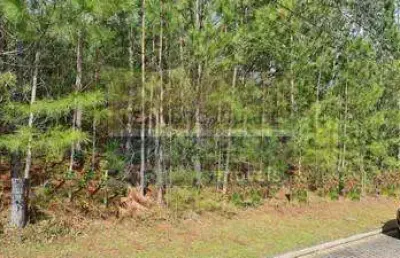 Terreno / lote / condomínio à venda no bairro condomínio buena vista com 330 m² de área privativa