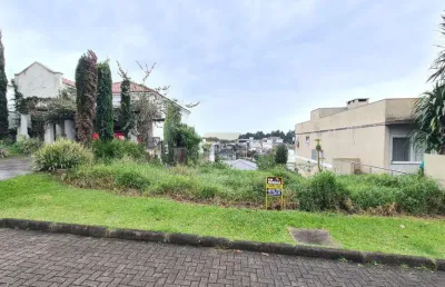 Terreno / lote / condomínio à venda no bairro condomínio buena vista com 330 m² de área privativa