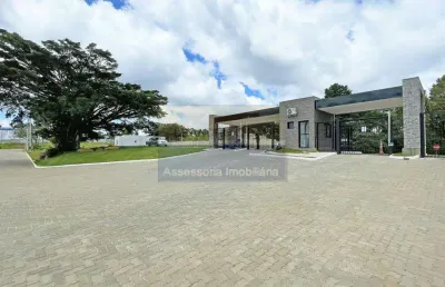 Terreno / lote / condomínio à venda no bairro vila augusta com 180 m² de área privativa