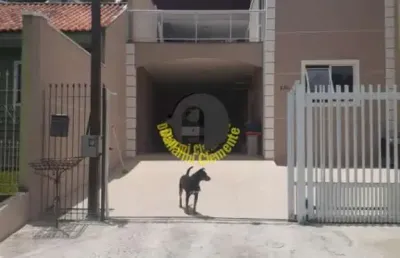 Sobrado de 195m², 3 dorms, recém reformado à venda no bairro xaxim,  curitiba -