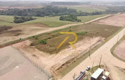 Terreno à venda, 2100 m² por r$ 750.000,00 - eucaliptos - fazenda rio grande/pr