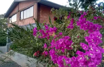 Chácara em campo largo, com casa de 3 dormitórios no guabiroba