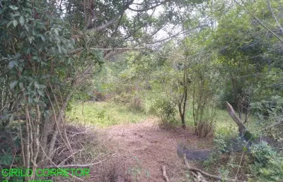 Chácara / sítio à venda na estrada geral macega/maratá, s/n, macega, maratá, 50600 m2 por r$ 230.000