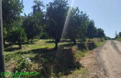 Chácara / sítio à venda na estrada s. jose do maratá, s/n, centro, são josé do sul por r$ 220.000