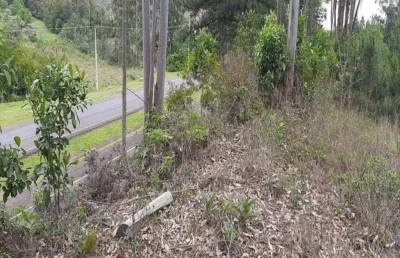 Terreno comercial à venda na Br 386 - Km. 393, Centro, Tabaí
