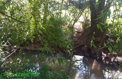 Chácara / sítio à venda na estrada geral serra velha, 001, serra velha, montenegro, 78 m2 por r$ 245.000