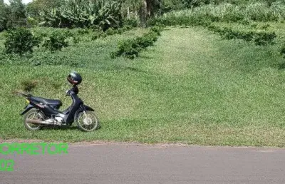 Chácara / sítio à venda na rodovia transitrus, s/n, linha pinheiro machado, brochier por r$ 270.000