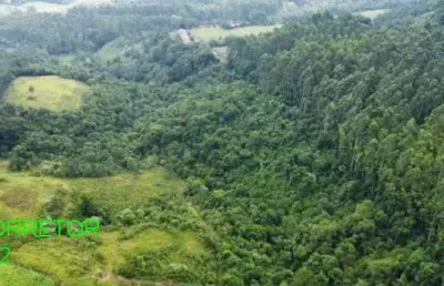 Chácara / sítio com 4 quartos à venda na estrada encruzilhada do maratá, s/n, esperança, maratá, 153 m2 por r$ 570.000