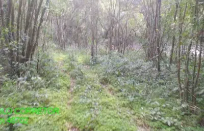 Chácara / sítio à venda na estrada são pedro do maratá, s/n, esperança, maratá por r$ 198.000