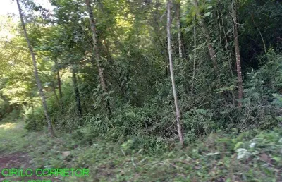 Chácara / sítio à venda na estrada marata/brochier, s/n, zona rural, maratá por r$ 205.000