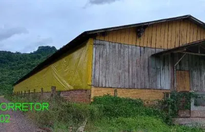 Chácara / sítio à venda na rodovia transitrus, 1001, linha pinheiro machado, brochier, 900 m2 por r$ 750.000