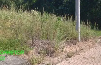 Terreno à venda na rua aloisio waldemar muller, s/n, centro, pareci novo por r$ 115.000