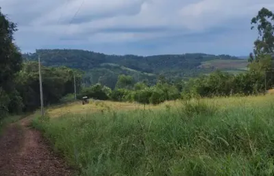 Chácara / sítio à venda na estrada geral de alfama, 150, alfama, montenegro por r$ 220.000