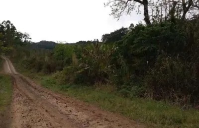 Chácara / sítio à venda na Estrada L. Pinheiro Machado/nova Holanda, Centro, Brochier