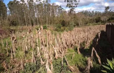 Terreno à venda na Estrada Esperança, Centro, Maratá