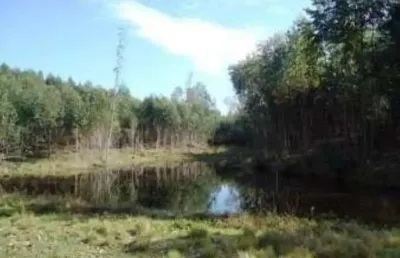 Chácara / sítio à venda na Estrada Fortaleza, S/N, Centro, Montenegro