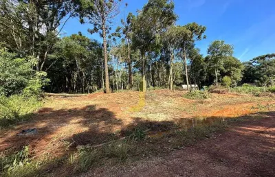 Chácara / sítio com 1 quarto à venda na Núcleo Colonia Barreiro, 17, Colonia Barreiro, Cascavel