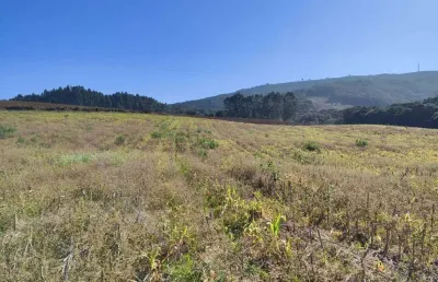 Chácara / sítio com 1 quarto à venda no Bugre, Balsa Nova 
