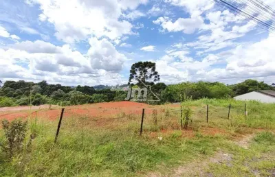 Terreno à venda na Vila Rivabem, Campo Largo 