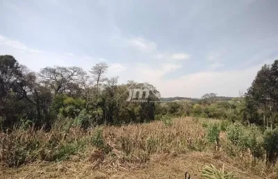 Lote para formação de chácara à venda, em balsa nova/pr.