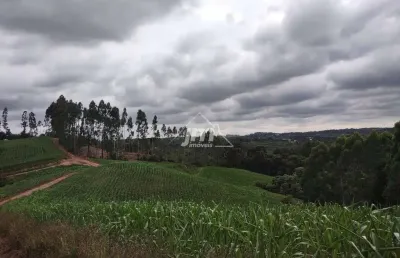 Casa à venda no Rodeio Santo Antônio, Balsa Nova 