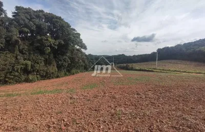 Chácara a venda no bairro colônia cristina - em araucária/pr