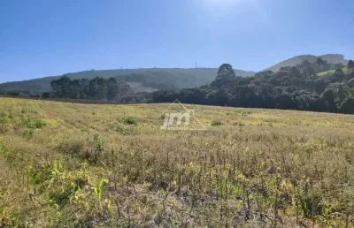 Casa com 2 quartos à venda no Bugre, Balsa Nova 