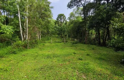 Chácara à venda no bairro campina do bicudo - em  balsa nova/pr