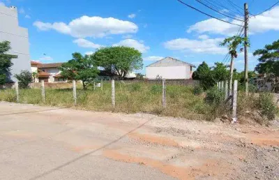 Terreno comercial à venda na Rua Esperanto, 20, Tomazetti, Santa Maria