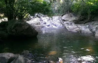 Terreno à venda na servidão joão paulino furtado, 1, encantada, garopaba, 10000 m2 por r$ 1.160.000