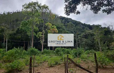 Fazenda  de eucaliptos  com 144 hectares , e com renda  à venda de porteira fechada próximo ao município de taubaté-sp