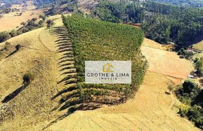 Sítio à venda, 20 alqueires paulistas por r$ 1.800.000 - rural - lagoinha/sp