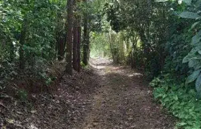 Chácara à venda, 20000 m² por r$ 1.200.000,00 - sete voltas - taubaté/sp