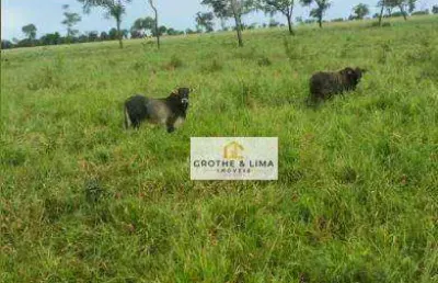 Fazenda com 1.005 hectares à venda na região do município de campo grande/ms.