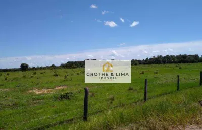 **fazenda em cocalinho, mt - oportunidade incrível para pecuária e agricultura**