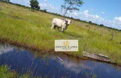 **fazenda espetacular de 2.637,80 hectares em cocalinho, mt - uma oportunidade única no campo**