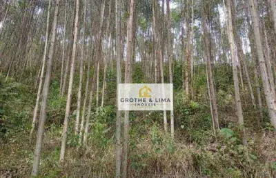 Área à venda, 108900 m² por r$ 440.000 - cedro - paraibuna/sp