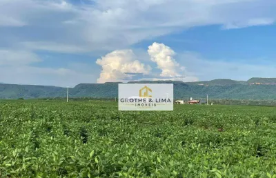 Vendo fazenda de dupla aptidão à venda no município de monte do carmo/to.