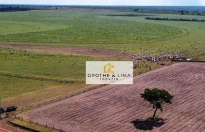Vendo fazenda à venda na região do município de nova mutum/mt