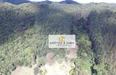 Chácara / sítio com 2 quartos à venda no Bairro do Espírito Santo, Paraibuna 