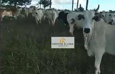 Fazenda à venda, 5130400 m² por r$ 10.600.000 - dirceu arcoverde - parnaíba/pi