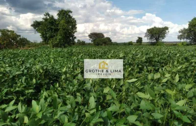 Fazenda à venda com dupla aptidão localizada em tocantins, a 149 km de palmas/to