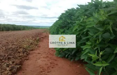 Fazenda à venda no Centro, Terenos 