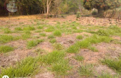 Terreno à venda, 2200 m² por r$ 251.500,00 - espírito santo - paraibuna/sp