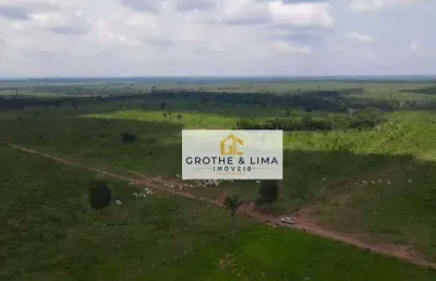 Vendo fazenda à venda no tocantins na região de araguaina