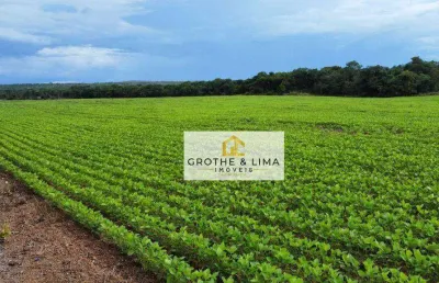 Fazenda à venda, 700 hectares por r$ 24.000.000 - gurupi/to